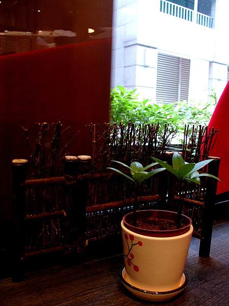 DSC08888.JPG