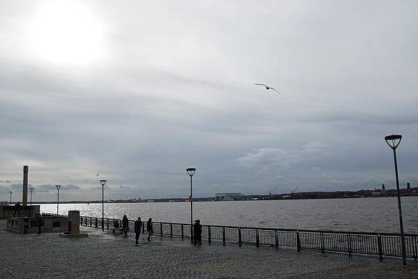 DSC_1938.JPG