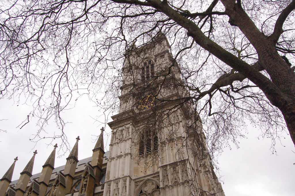 DSC_1797.JPG