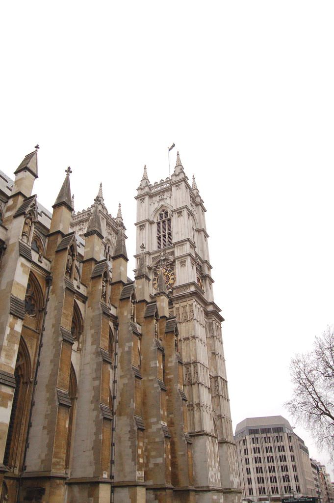 DSC_1803.JPG
