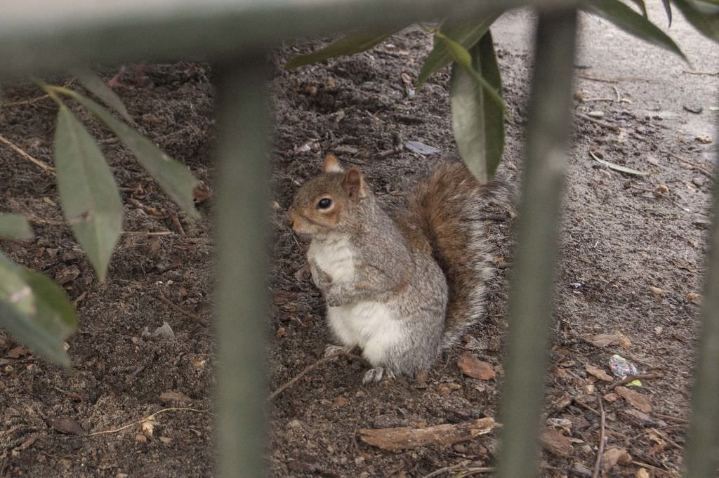 DSC_2526.jpg