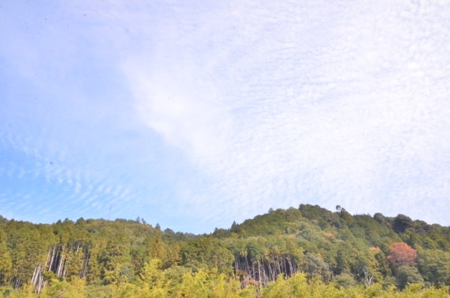 35FF1092-AB94-4CD1-8151-0622E3FA98E9.jpeg