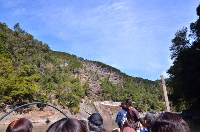 4D9AB8D4-A266-44DB-A15A-8038A547A717.jpeg