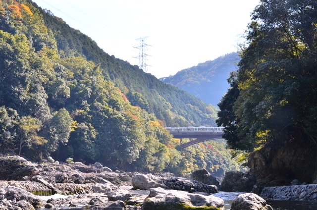 887203DF-5915-428E-B3D2-68D35B7B2E86.jpeg