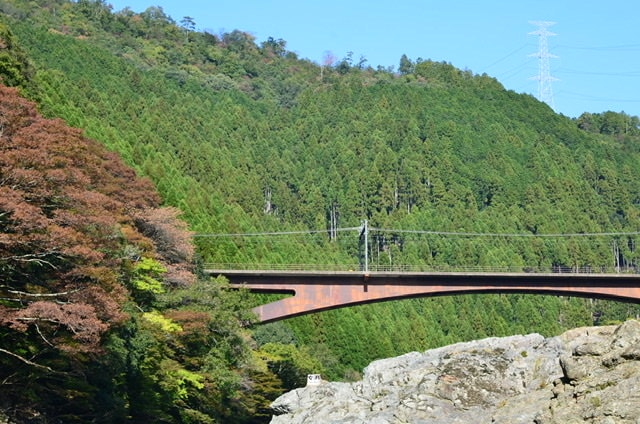 14B0A312-643D-4DC0-9368-013CE32E544E.jpeg