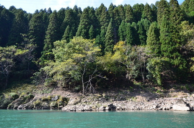 3D10DCE2-10B1-4B96-9037-2AA0970CA4F8.jpeg