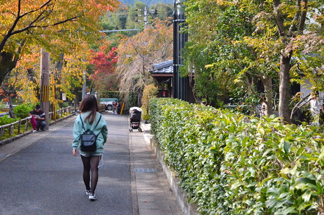 15C9A55B-791F-4806-A6A6-84251080C687.jpeg