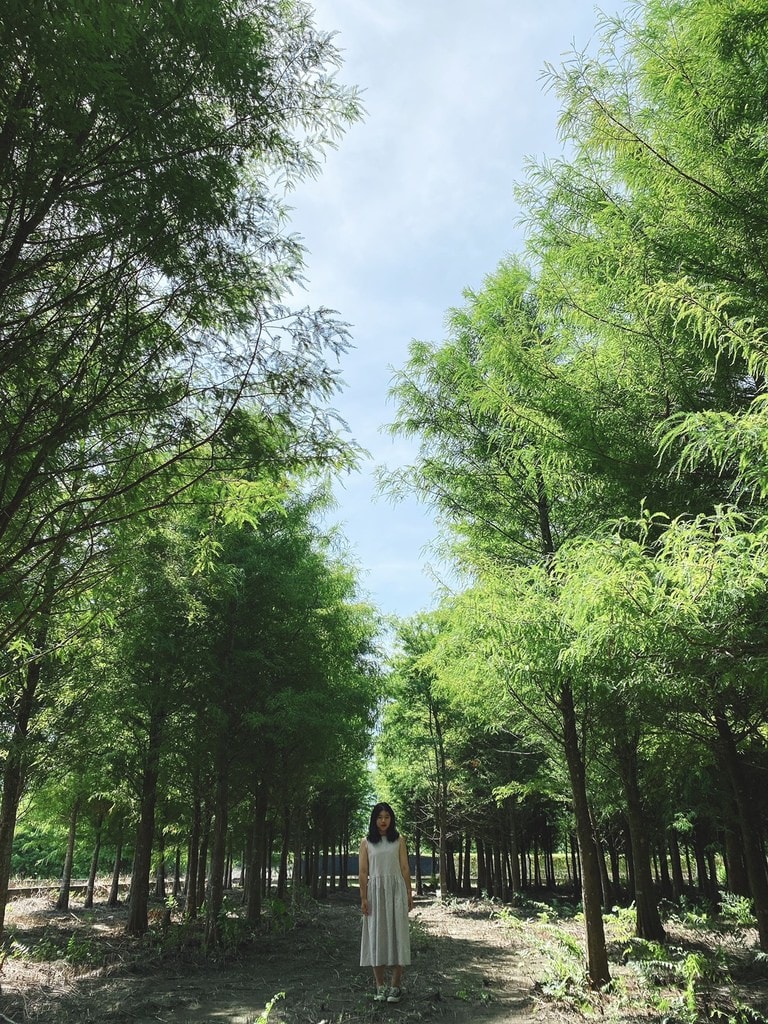 S__12468242.jpg